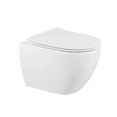SND124pack (137938004) SANIBOLD 50 COMPLETE WALL HUNG TOILET